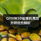 QY80K5D起重机高效升降优势解析(图1) QY80K5D起重机高效升降优势解析(图1)