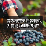高效稳定灵活装载机，为何成为理想选择？（图2）