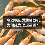 高效稳定灵活装载机，为何成为理想选择？（图1）