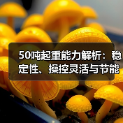 50吨起重能力解析:稳定性、操控灵活与节能高效全解析(图3) 50吨起重能力解析:稳定性、操控灵活与节能高效全解析(图3)