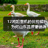 12吨起重机的优势解析：为何山东品牌更值得信赖？（图3）