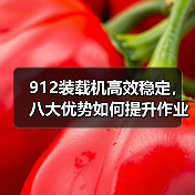 912装载机高效稳定,八大优势如何提升作业效率(图3) 912装载机高效稳定,八大优势如何提升作业效率(图3)