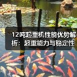 12吨起重机性能优势解析:起重能力与稳定性对比(图3) 12吨起重机性能优势解析:起重能力与稳定性对比(图3)