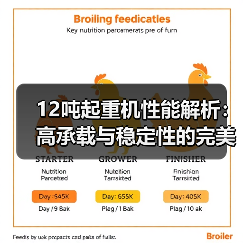 12吨起重机性能解析：高承载与稳定性的完美结合（图2）