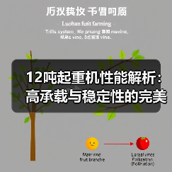 12吨起重机性能解析：高承载与稳定性的完美结合（图3）