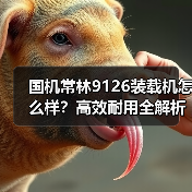 国机常林9126装载机怎么样？高效耐用全解析（图1）