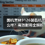 国机常林9126装载机怎么样？高效耐用全解析（图4）