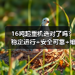 16吨起重机选对了吗？稳定运行+安全可靠+维护方便（图1）