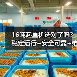 16吨起重机选对了吗？稳定运行+安全可靠+维护方便（图4）