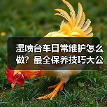 湿喷台车日常维护怎么做?最全保养技巧大公开(图3) 湿喷台车日常维护怎么做?最全保养技巧大公开(图3)