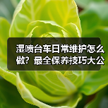 湿喷台车日常维护怎么做?最全保养技巧大公开(图4) 湿喷台车日常维护怎么做?最全保养技巧大公开(图4)