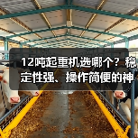 12吨起重机选哪个?稳定性强、操作简便的神力12吨起重机如何选?(图3) 12吨起重机选哪个?稳定性强、操作简便的神力12吨起重机如何选?(图3)