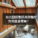 双出腿起重机高效稳定为何备受青睐？（图1）
