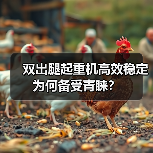 双出腿起重机高效稳定为何备受青睐？（图2）