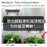 双出腿起重机高效稳定为何备受青睐？（图4）