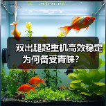 双出腿起重机高效稳定为何备受青睐？（图3）