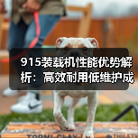 915装载机性能优势解析:高效耐用低维护成本(图3) 915装载机性能优势解析:高效耐用低维护成本(图3)