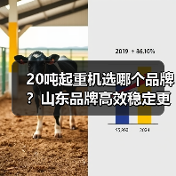 20吨起重机选哪个品牌?山东品牌高效稳定更省心(图1) 20吨起重机选哪个品牌?山东品牌高效稳定更省心(图1)
