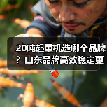 20吨起重机选哪个品牌?山东品牌高效稳定更省心(图4) 20吨起重机选哪个品牌?山东品牌高效稳定更省心(图4)