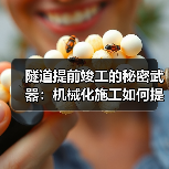 隧道提前竣工的秘密武器:机械化施工如何提速?(图4) 隧道提前竣工的秘密武器:机械化施工如何提速?(图4)