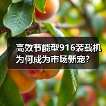 高效节能型916装载机为何成为市场新宠？（图3）