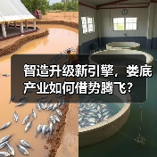 智造升级新引擎,娄底产业如何借势腾飞?(图2) 智造升级新引擎,娄底产业如何借势腾飞?(图2)