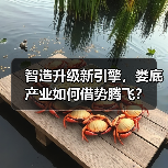 智造升级新引擎,娄底产业如何借势腾飞?(图4) 智造升级新引擎,娄底产业如何借势腾飞?(图4)