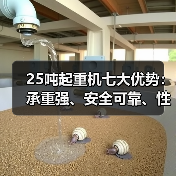 25吨起重机七大优势:承重强、安全可靠、性价比高(图1) 25吨起重机七大优势:承重强、安全可靠、性价比高(图1)