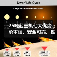25吨起重机七大优势:承重强、安全可靠、性价比高(图3) 25吨起重机七大优势:承重强、安全可靠、性价比高(图3)