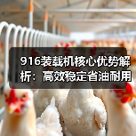 916装载机核心优势解析：高效稳定省油耐用（图2）