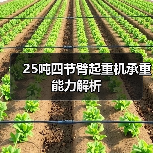 25吨四节臂起重机承重能力解析（图4）