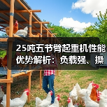 25吨五节臂起重机性能优势解析：负载强、操控灵活、适应性强（图3）