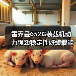 雷乔曼652G装载机动力强劲稳定性好装载能力大维修方便吗?(图1) 雷乔曼652G装载机动力强劲稳定性好装载能力大维修方便吗?(图1)