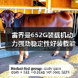 雷乔曼652G装载机动力强劲稳定性好装载能力大维修方便吗?(图2) 雷乔曼652G装载机动力强劲稳定性好装载能力大维修方便吗?(图2)