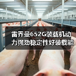 雷乔曼652G装载机动力强劲稳定性好装载能力大维修方便吗?(图4) 雷乔曼652G装载机动力强劲稳定性好装载能力大维修方便吗?(图4)