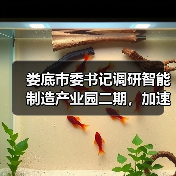 娄底市委书记调研智能制造产业园二期,加速产业升级步伐?(图2) 娄底市委书记调研智能制造产业园二期,加速产业升级步伐?(图2)