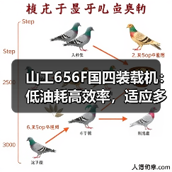 山工656F国四装载机：低油耗高效率，适应多种工况作业（图3）