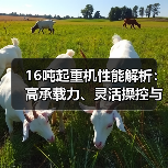 16吨起重机性能解析:高承载力、灵活操控与安全可靠性(图1) 16吨起重机性能解析:高承载力、灵活操控与安全可靠性(图1)