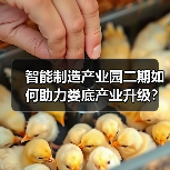 智能制造产业园二期如何助力娄底产业升级?书记实地调研推动发展(图2) 智能制造产业园二期如何助力娄底产业升级?书记实地调研推动发展(图2)