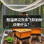 隧道建设效率飞跃的秘诀是什么?(图3) 隧道建设效率飞跃的秘诀是什么?(图3)