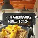 25吨起重性能解析：为何成工地优选？（图1）