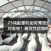 25吨起重机如何高效应对重物？高效性能解析