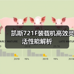 凯斯721F装载机高效灵活性能解析