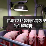 凯斯721F装载机高效灵活性能解析（图3）