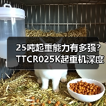 25吨起重能力有多强?TTCR025K起重机深度解析(图2) 25吨起重能力有多强?TTCR025K起重机深度解析(图2)