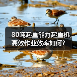 80吨起重能力起重机，高效作业效率如何？（图3）