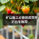 矿山施工必备的高效凿岩台车推荐(图3) 矿山施工必备的高效凿岩台车推荐(图3)