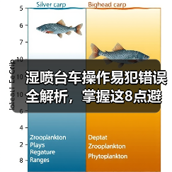湿喷台车操作易犯错误全解析，掌握这8点避免返工（图1）