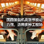 国四装载机高效节能动力强，适用多种工程场景（图4）
