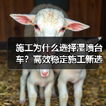 施工为什么选择湿喷台车?高效稳定施工新选择(图4) 施工为什么选择湿喷台车?高效稳定施工新选择(图4)